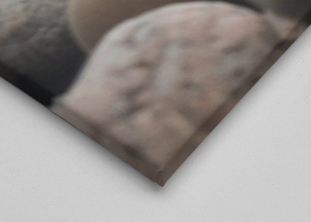 Rochers sur la plage 