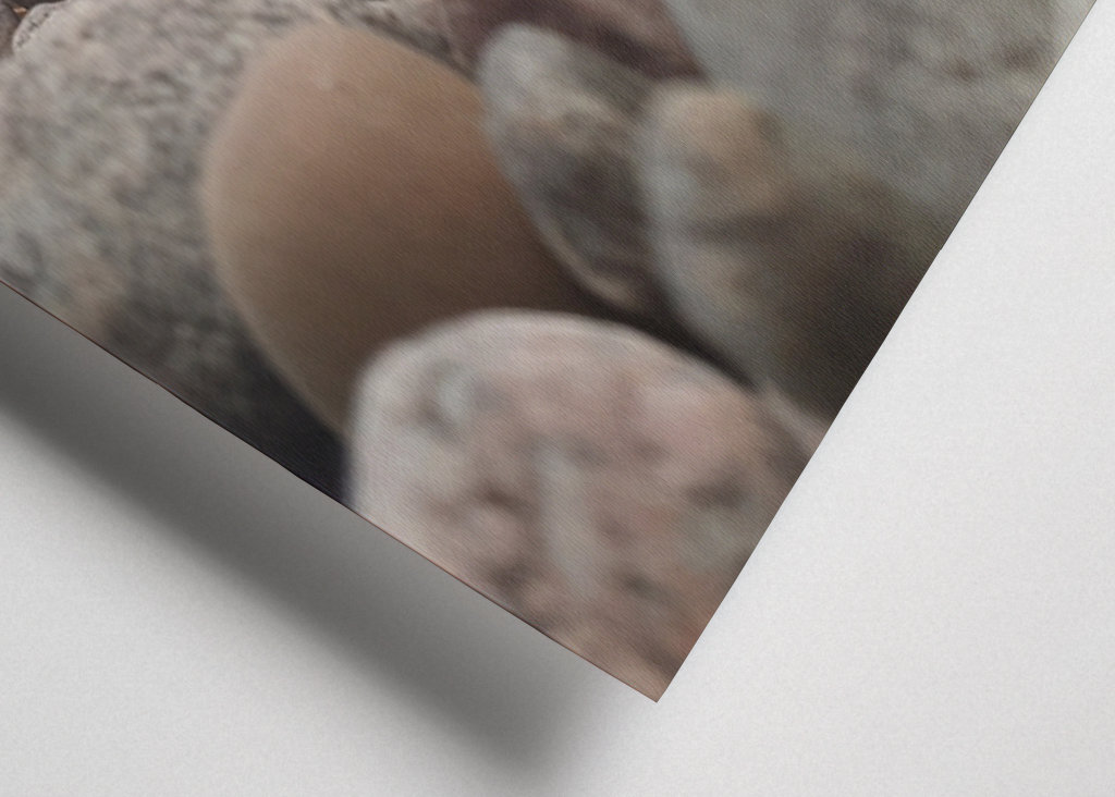 Rochers sur la plage 