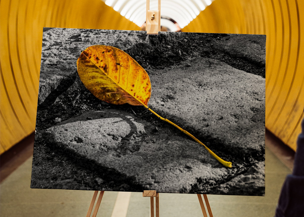 Hojas solitarias de otoño sobre adoquines