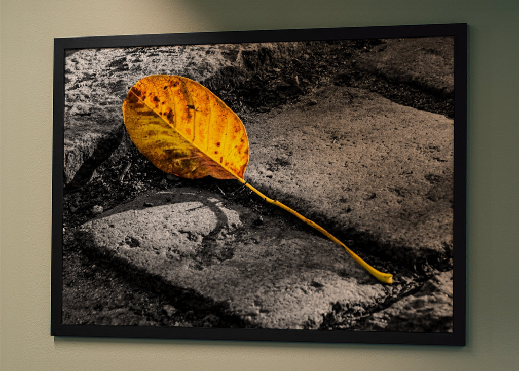 Hojas solitarias de otoño sobre adoquines