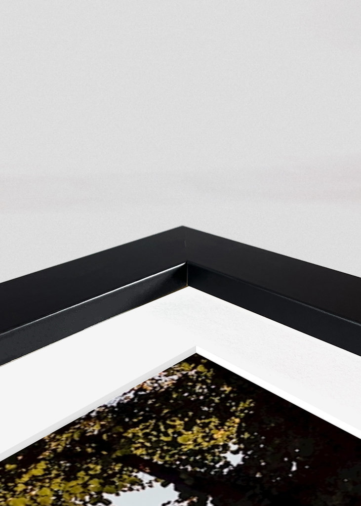 Brandenburg Gate during fall