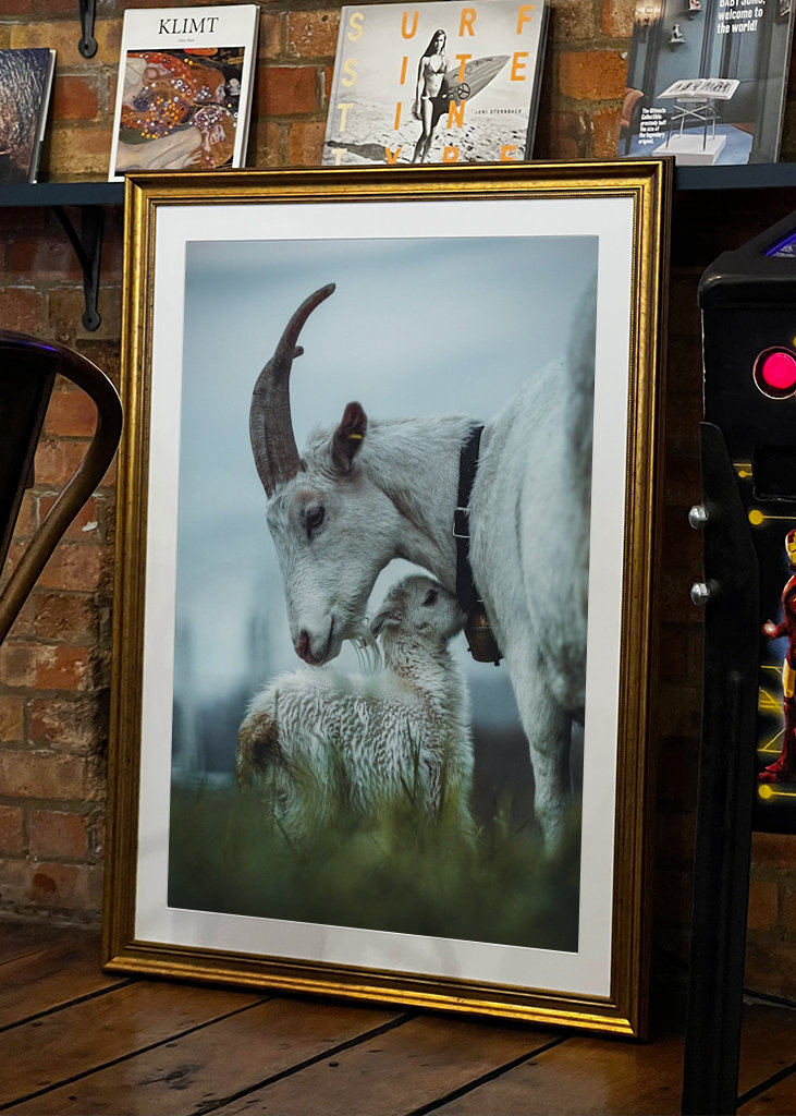 Äidin rakkaus vuoheen