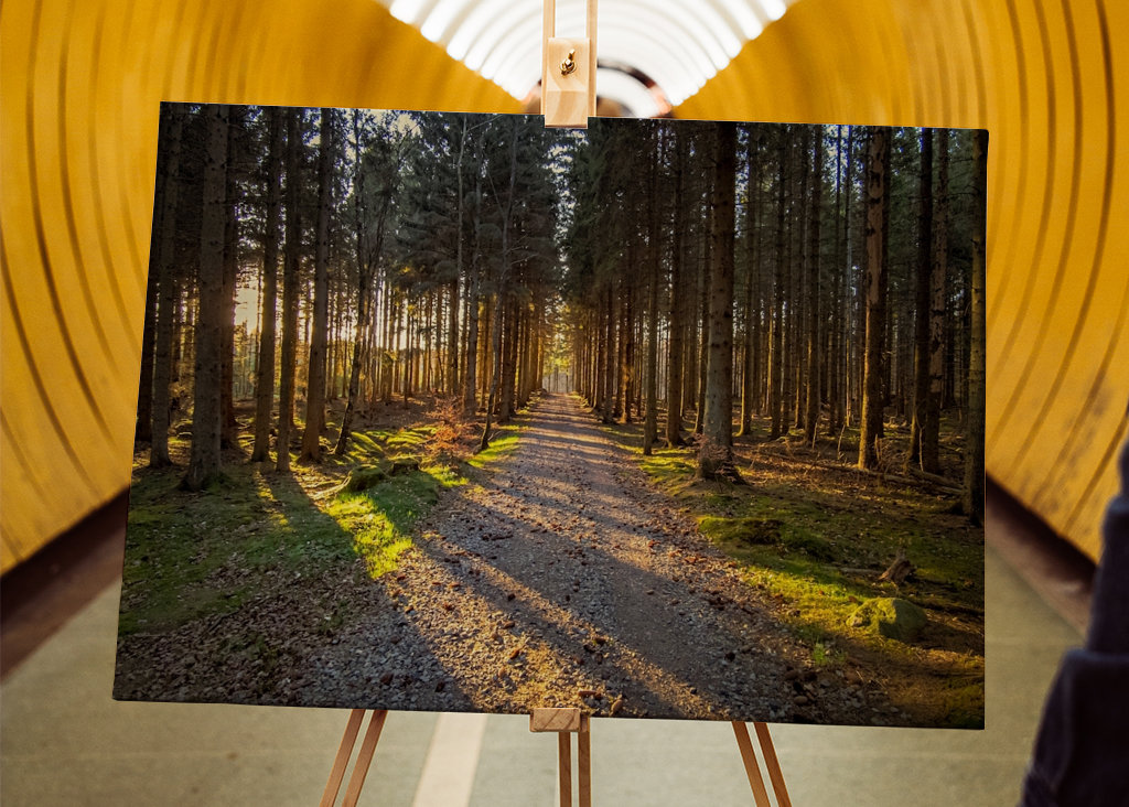 Cesta kouzelným lesem