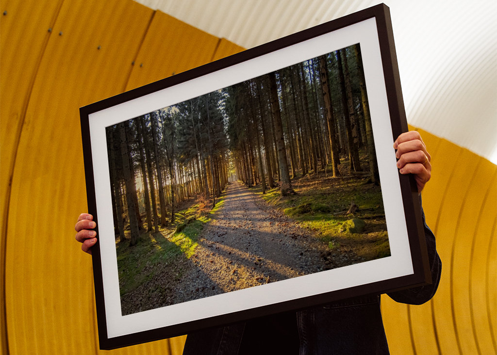 Cesta kouzelným lesem