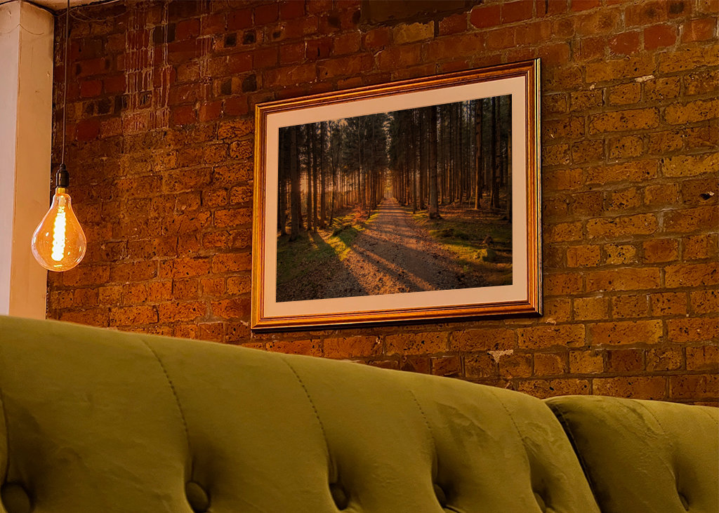 Cesta kouzelným lesem