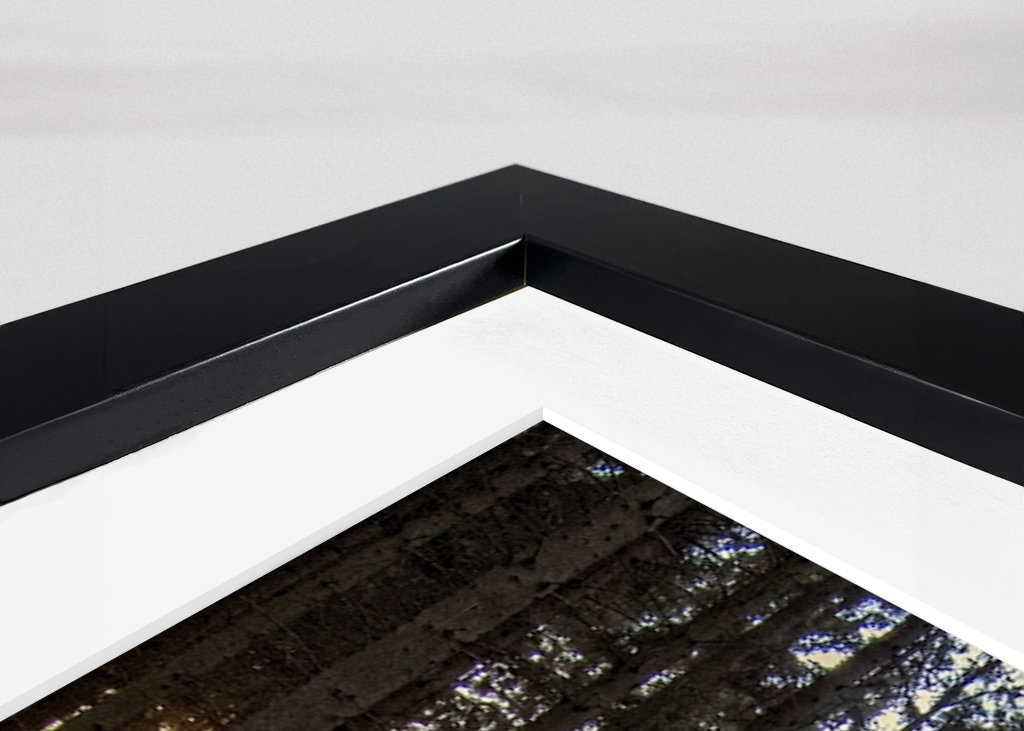 Cesta kouzelným lesem