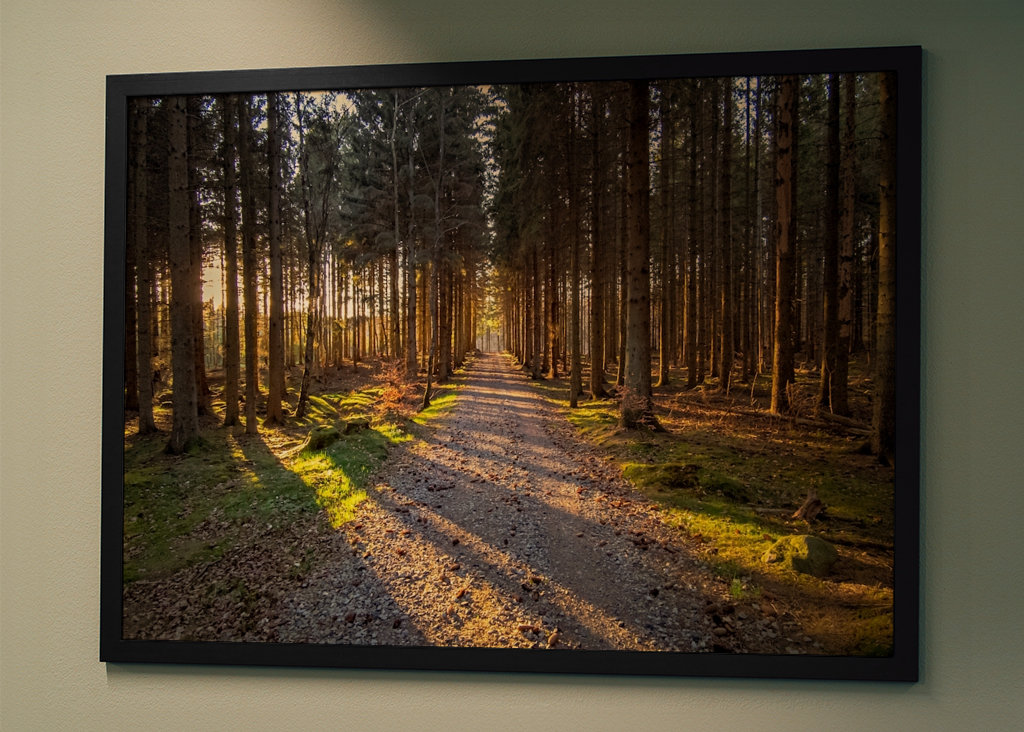 Cesta kouzelným lesem