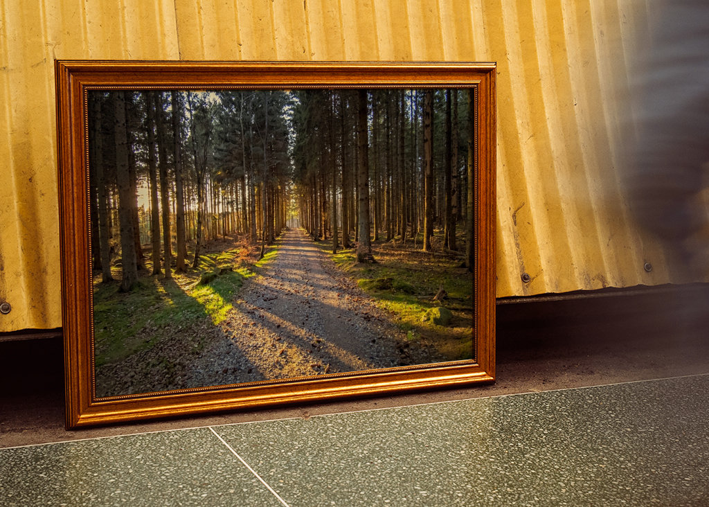 Cesta kouzelným lesem