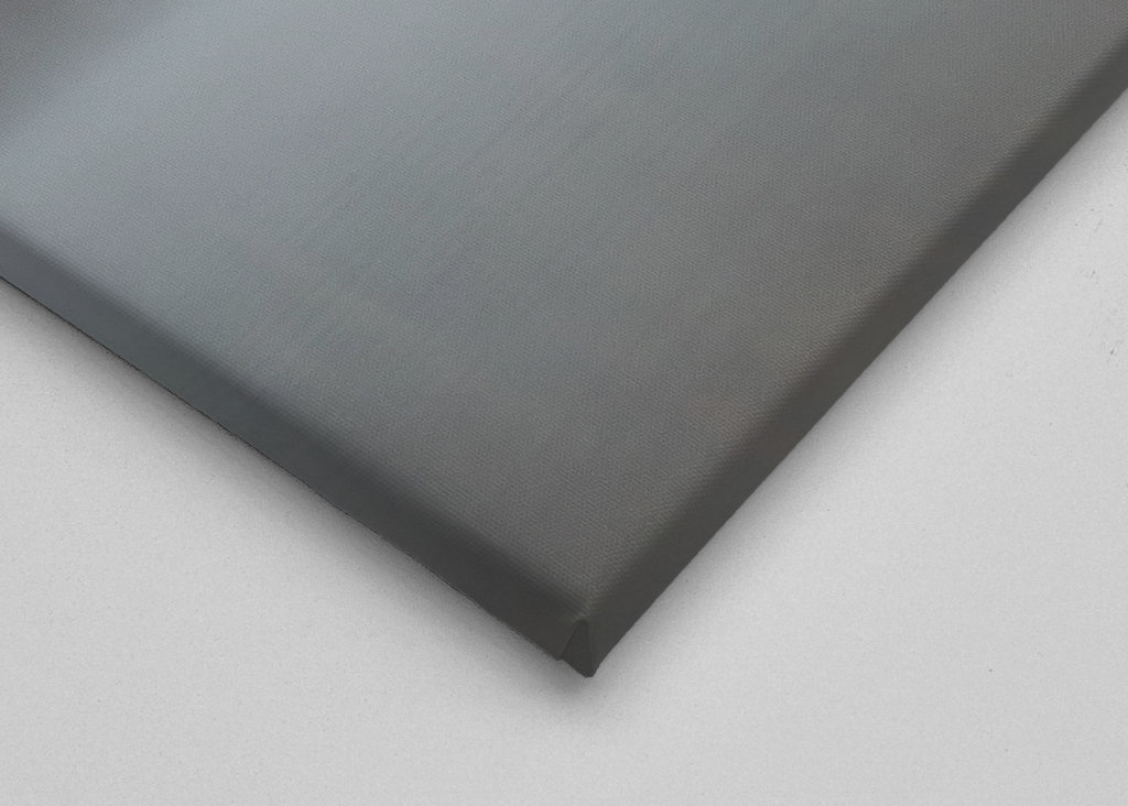 Pájaro volador en niebla cruda humeante