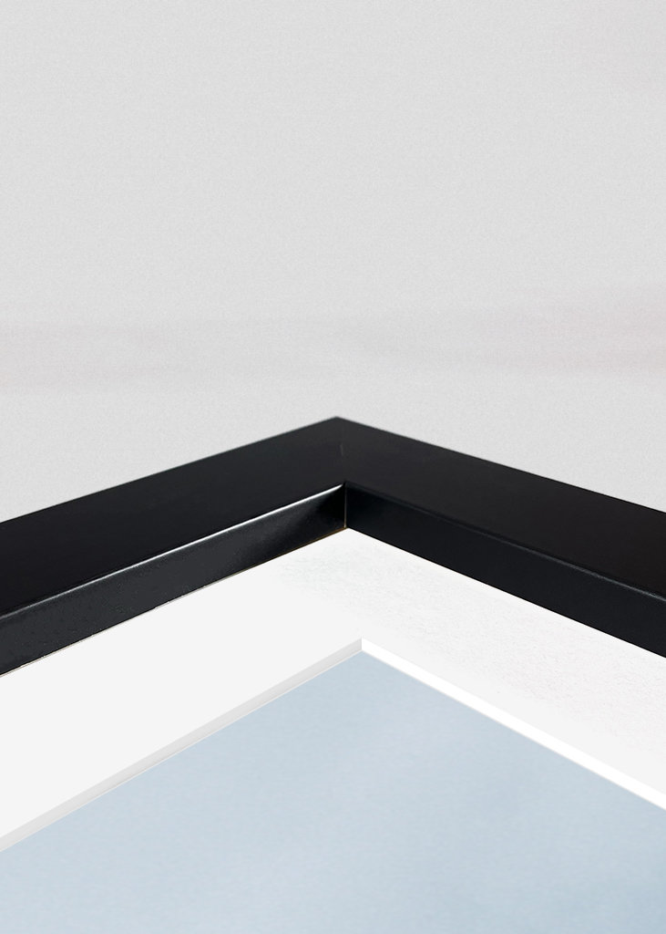 Oppstigningen gjennom tåken