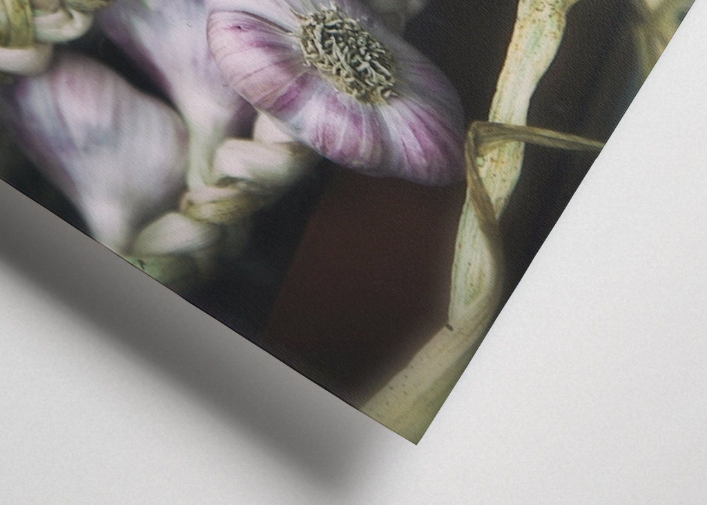 Česnekové copánky