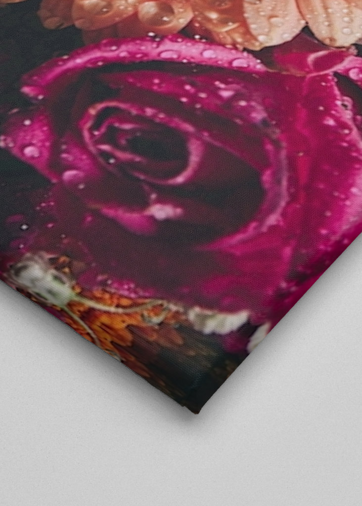 Flower Power / Close up