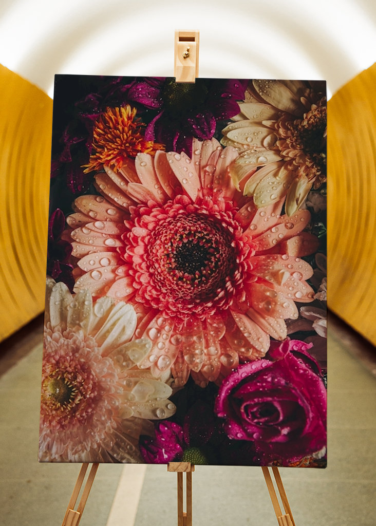 Flower Power / Close up