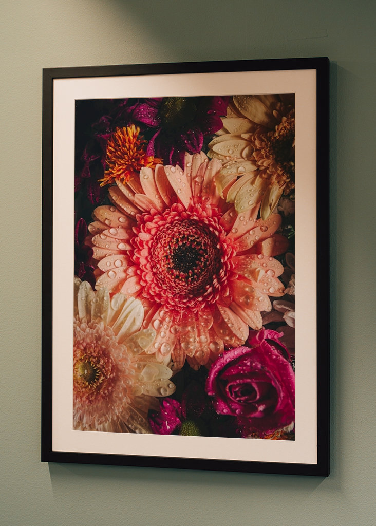 Flower Power / Close up