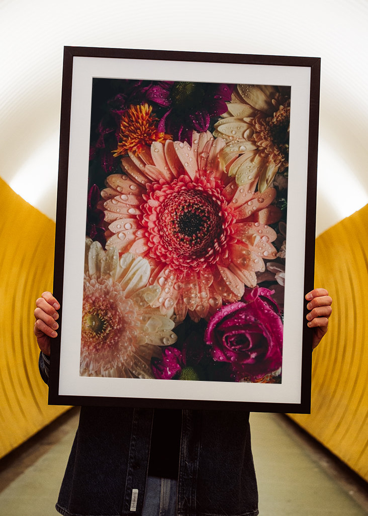 Flower Power / Close up