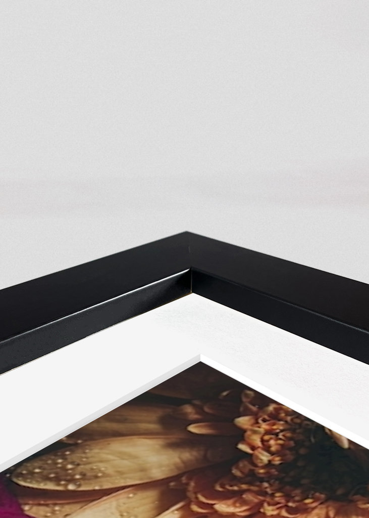 Flower Power / Close up