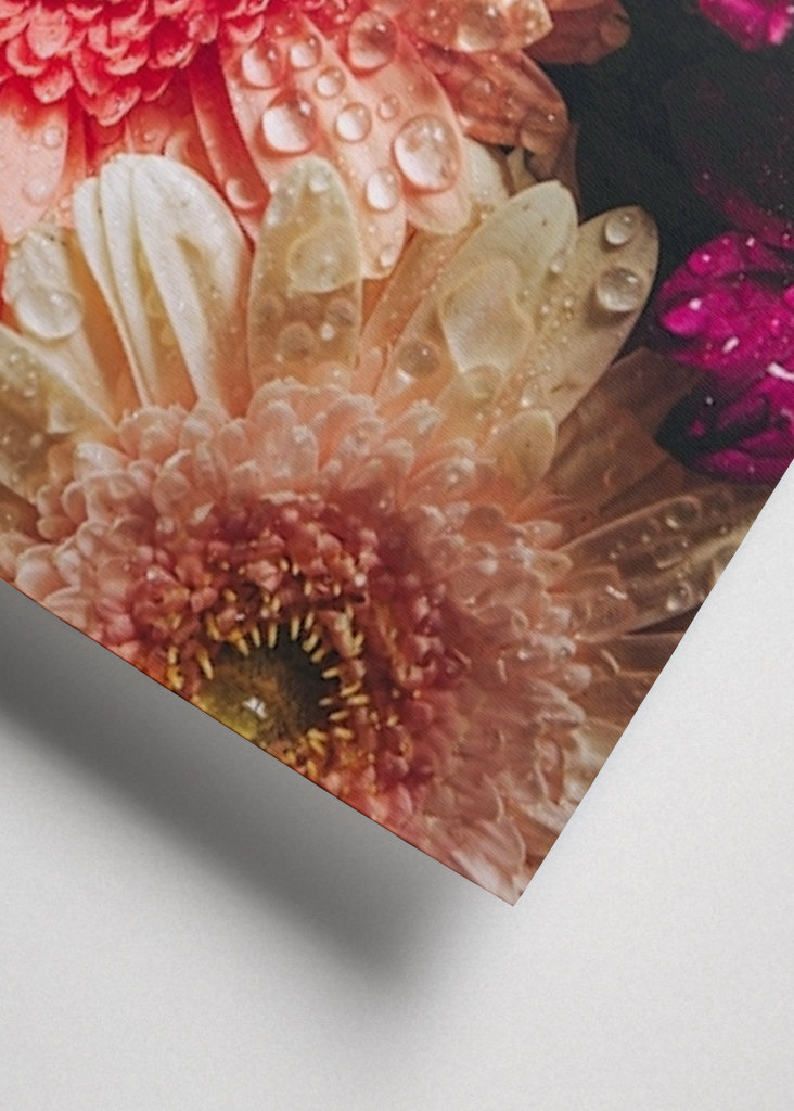 Flower Power / Close up