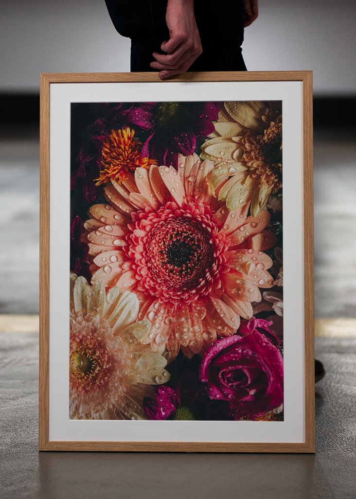 Flower Power / Close up