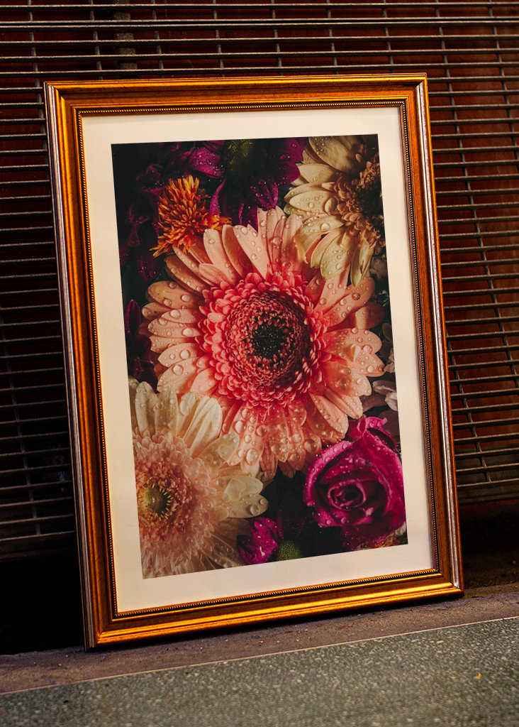 Flower Power / Close up