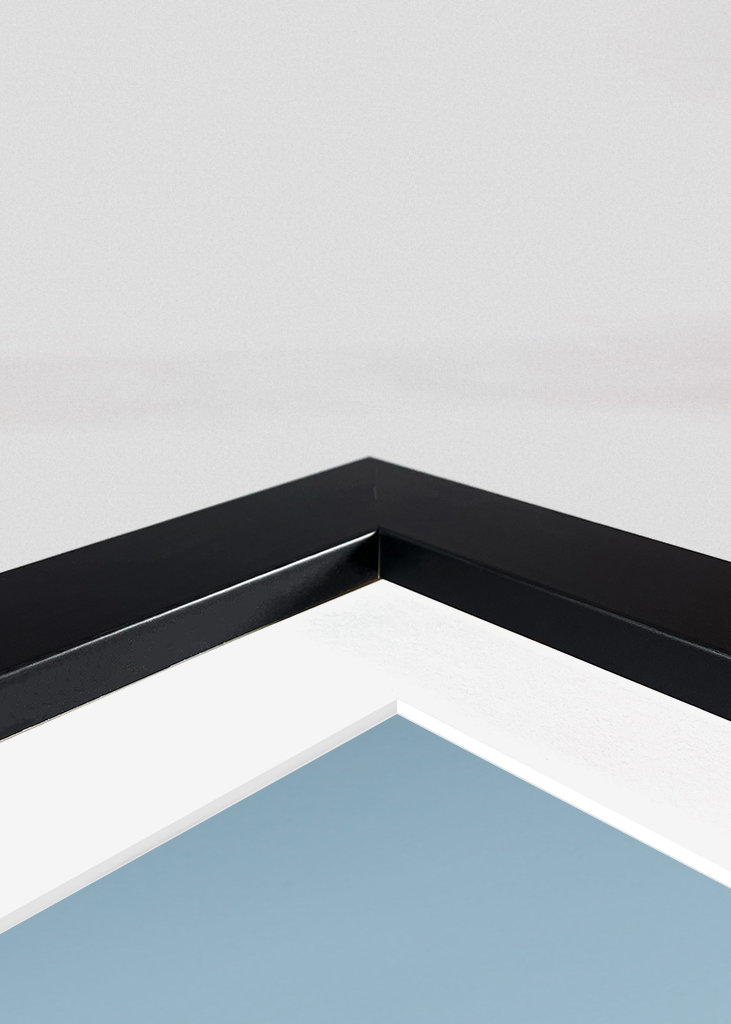 Bavarian Colomans Church