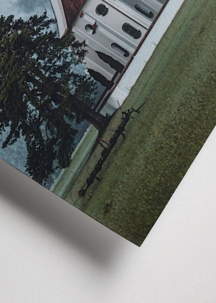 Bavarian Colomans Church