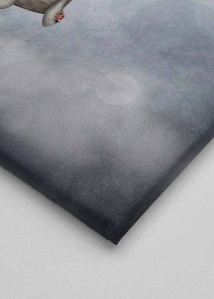 Slon v horkovzdušném balónu