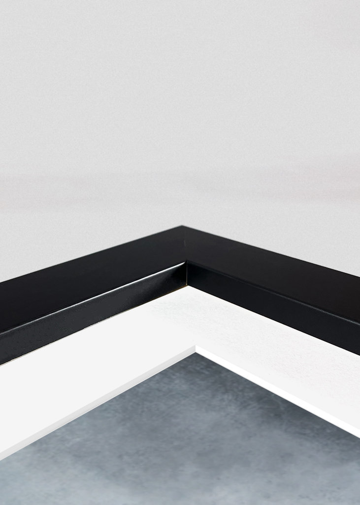 Slon v horkovzdušném balónu