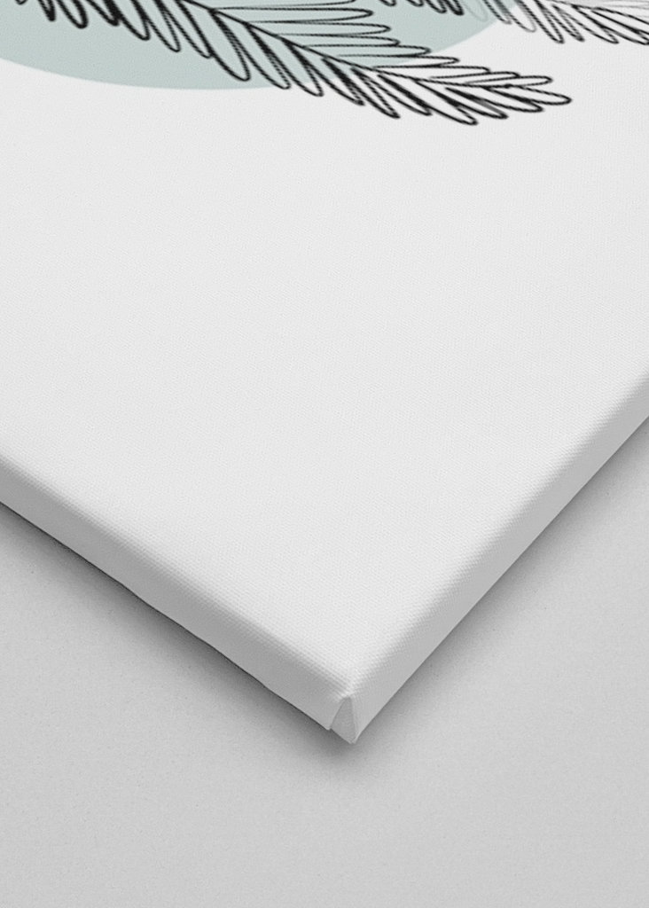 Finom botanikai anyagok – páfrány