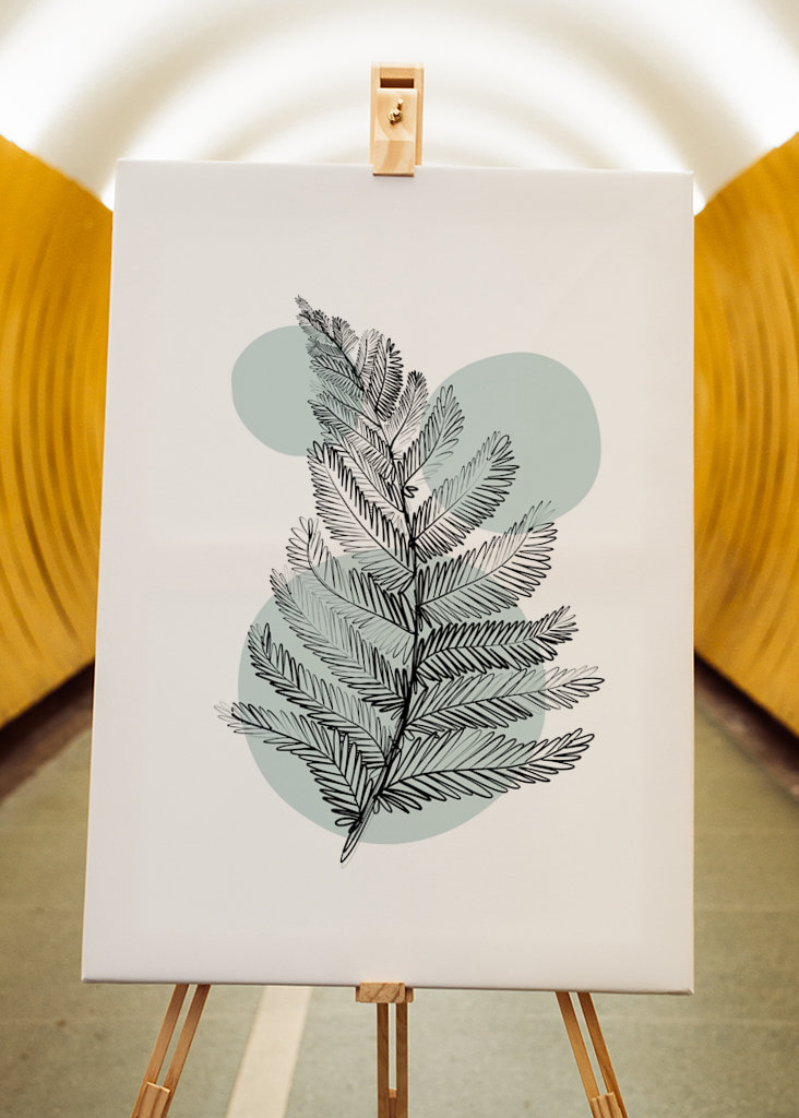 Finom botanikai anyagok – páfrány