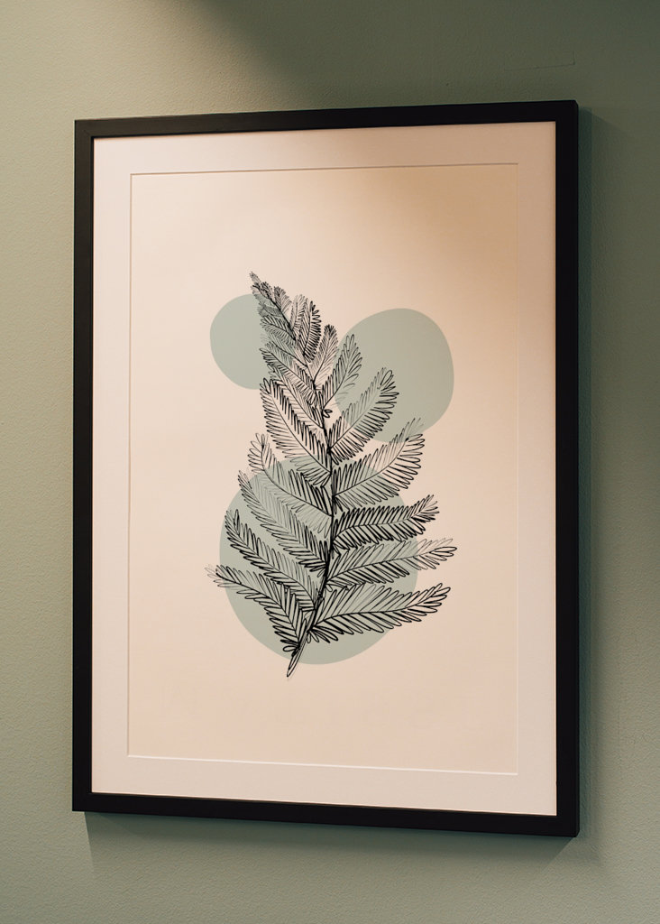 Finom botanikai anyagok – páfrány