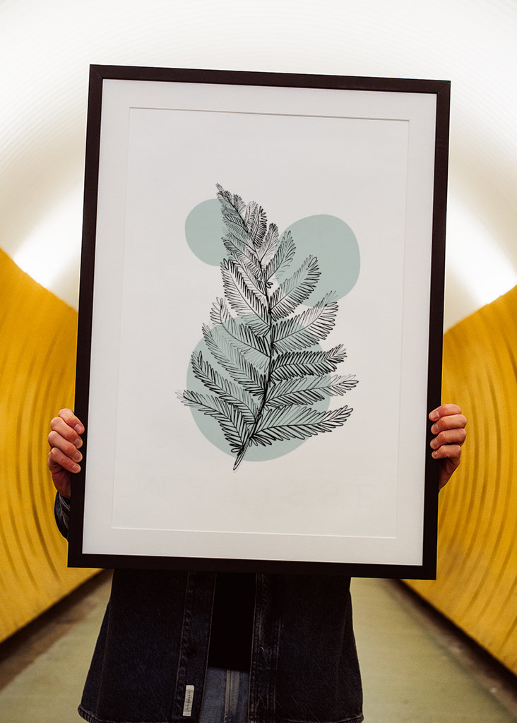 Finom botanikai anyagok – páfrány