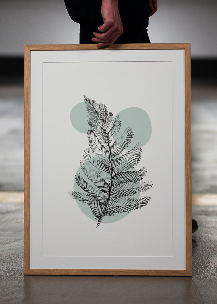 Finom botanikai anyagok – páfrány