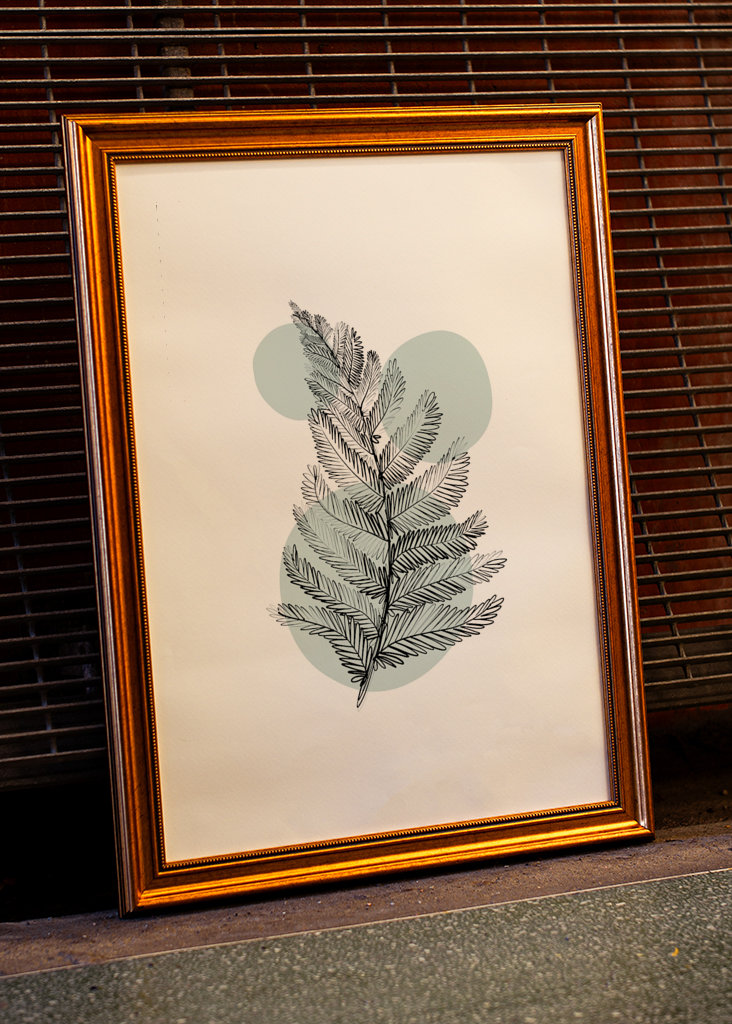 Finom botanikai anyagok – páfrány