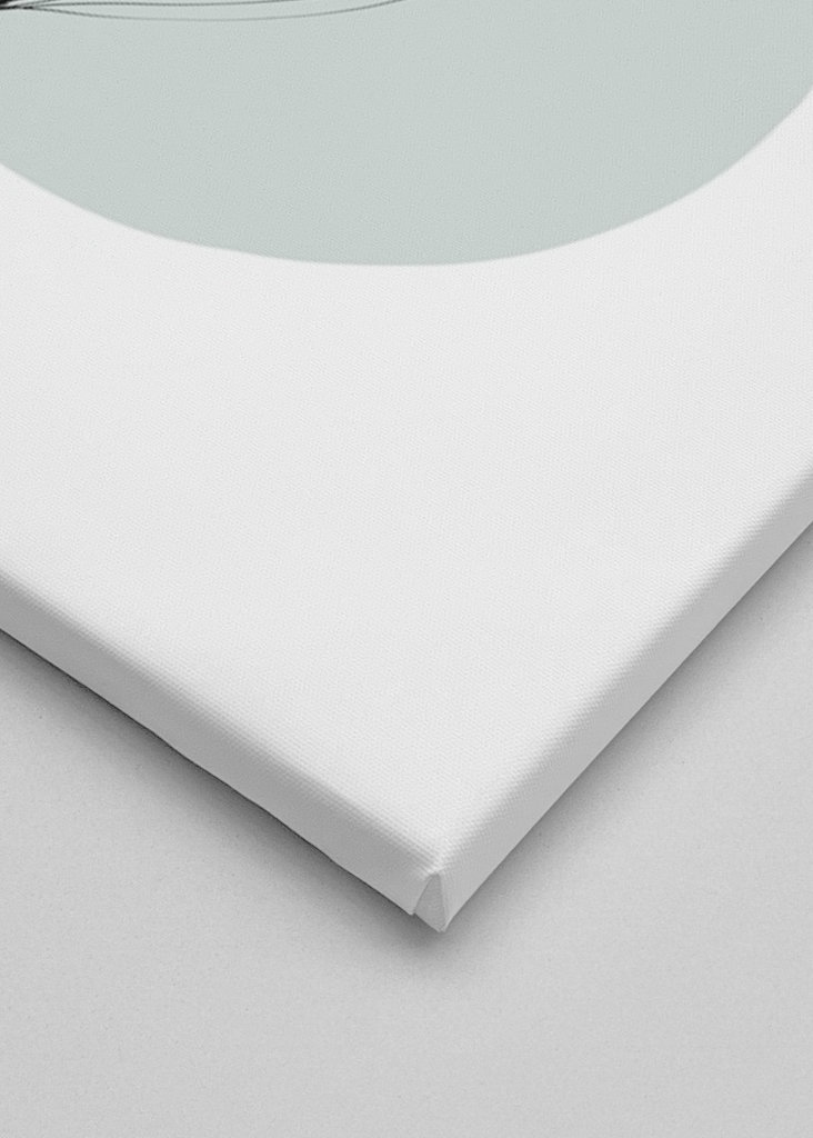 Delikátní rostlinné výtažky – olivové