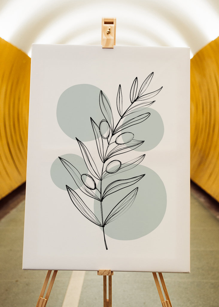 Delikátní rostlinné výtažky – olivové