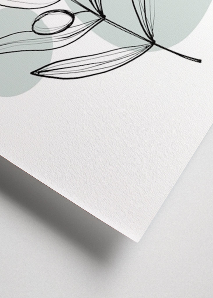 Delikátní rostlinné výtažky – olivové