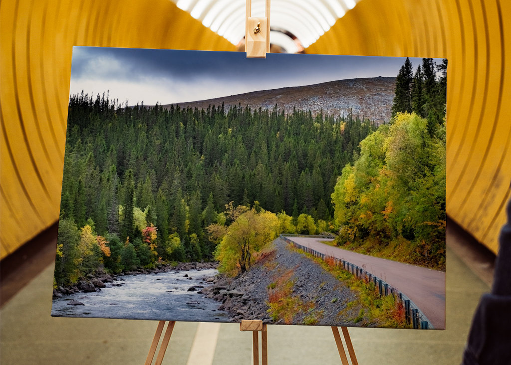 Mountain road in autumn garb.