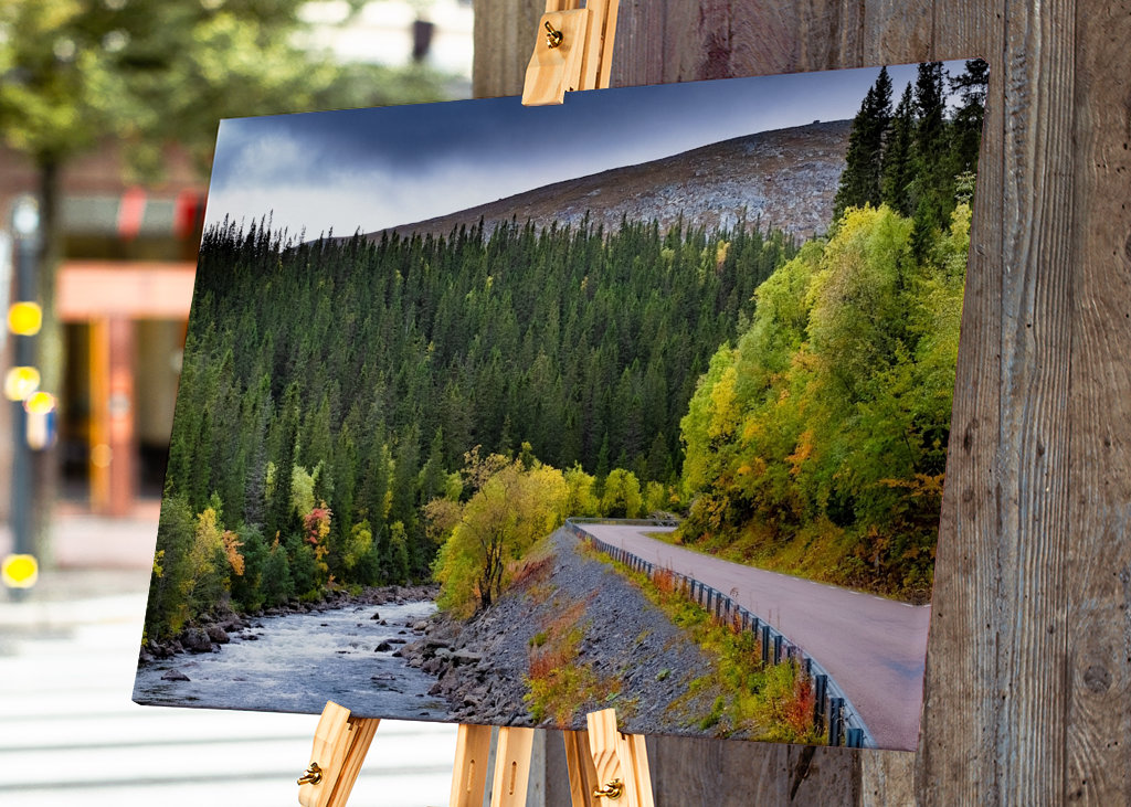 Mountain road in autumn garb.