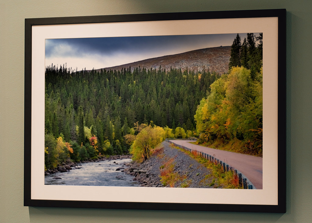 Mountain road in autumn garb.