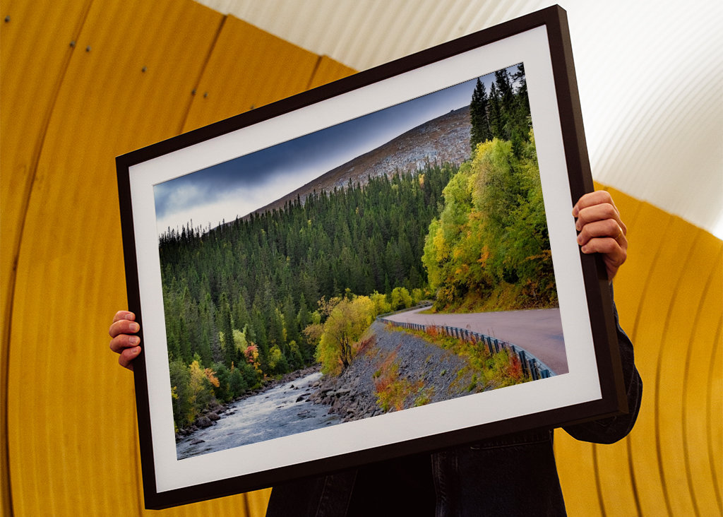 Mountain road in autumn garb.