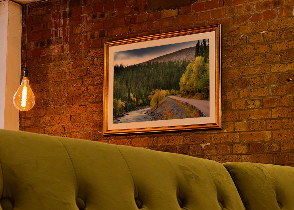 Mountain road in autumn garb.