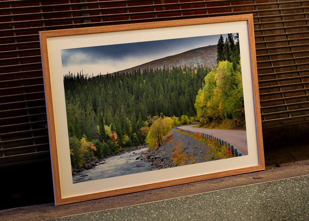 Mountain road in autumn garb.
