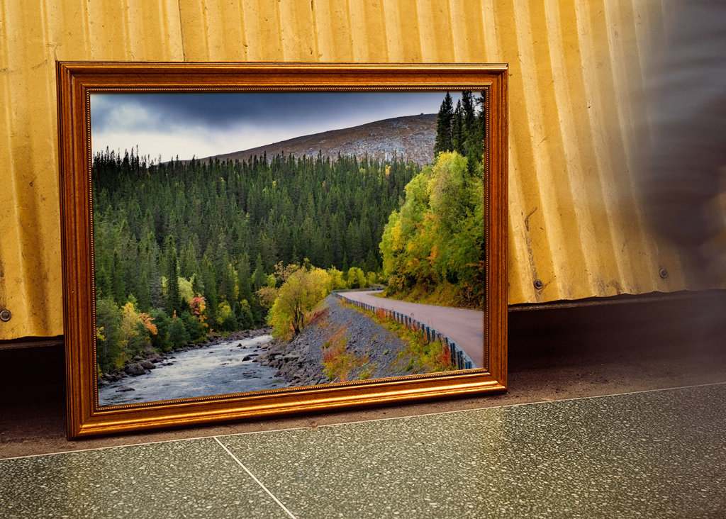 Mountain road in autumn garb.