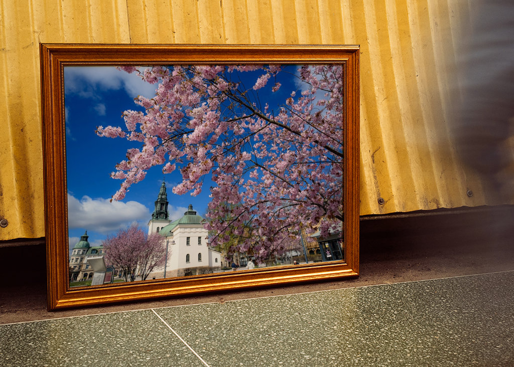 Vår i Linköping