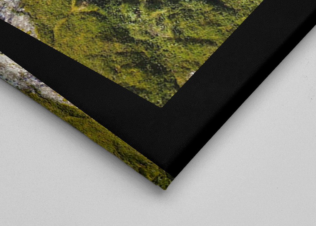 Costa delle Lofoten (3)