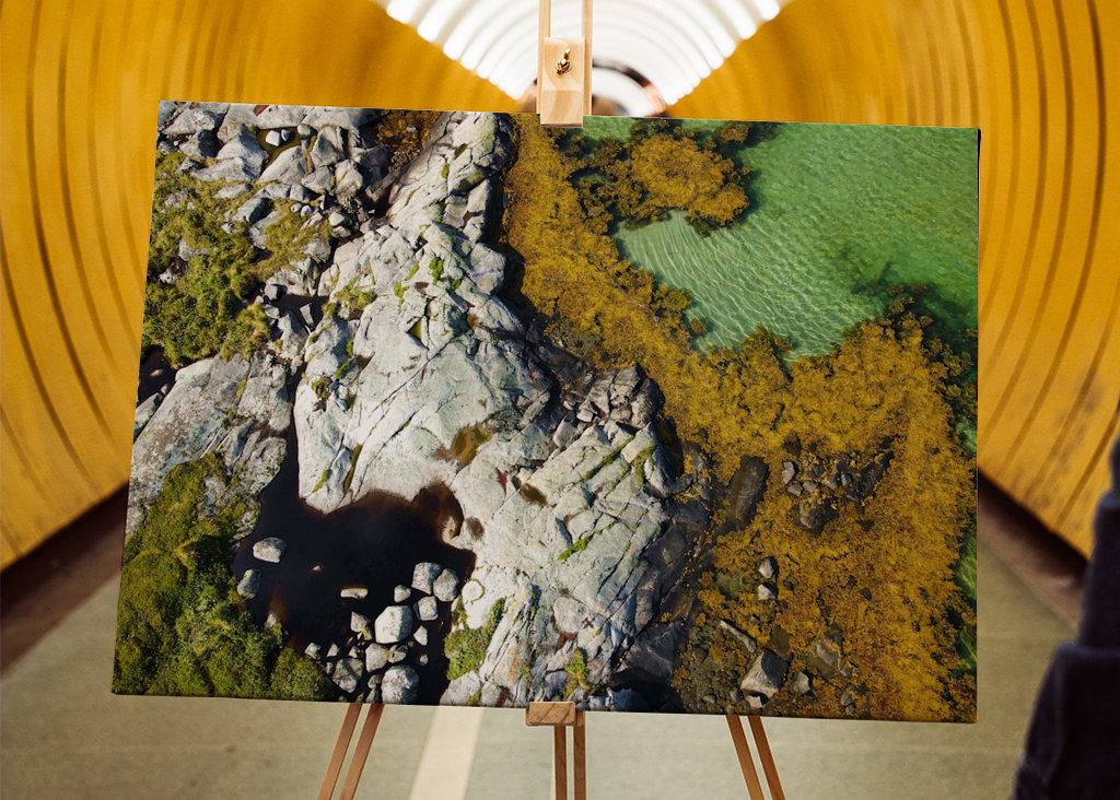 Costa delle Lofoten (3)