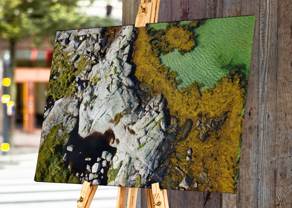 Costa delle Lofoten (3)