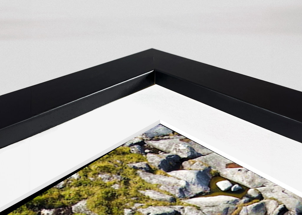 Costa delle Lofoten (3)