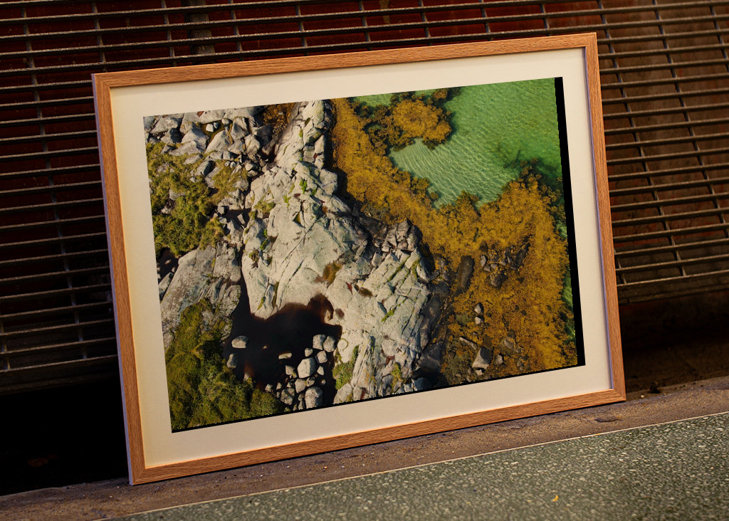 Costa delle Lofoten (3)