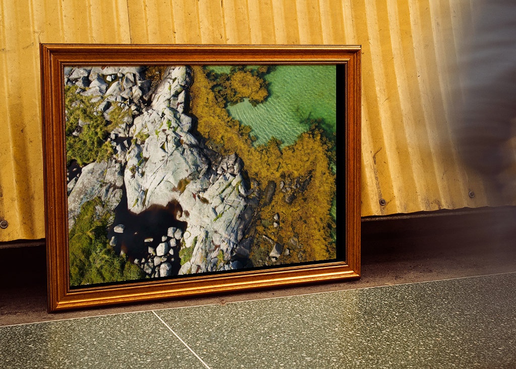 Costa delle Lofoten (3)